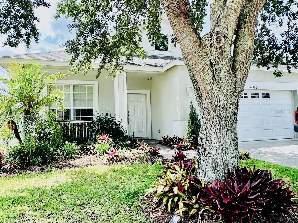 24900 OAKHAVEN CT, LUTZ, FL, 33559