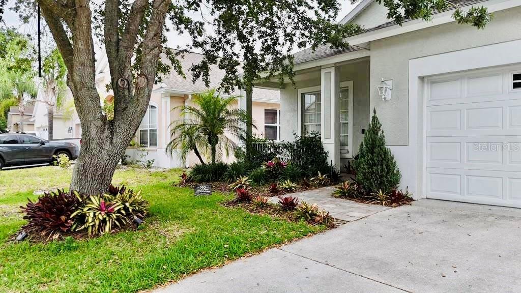 24900 OAKHAVEN CT, LUTZ, FL, 33559
