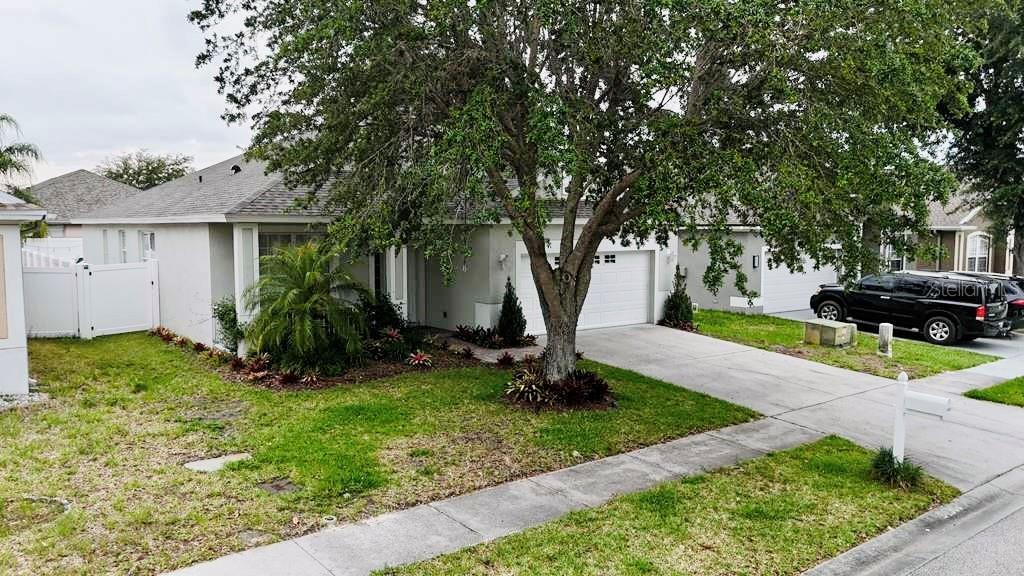 24900 OAKHAVEN CT, LUTZ, FL, 33559