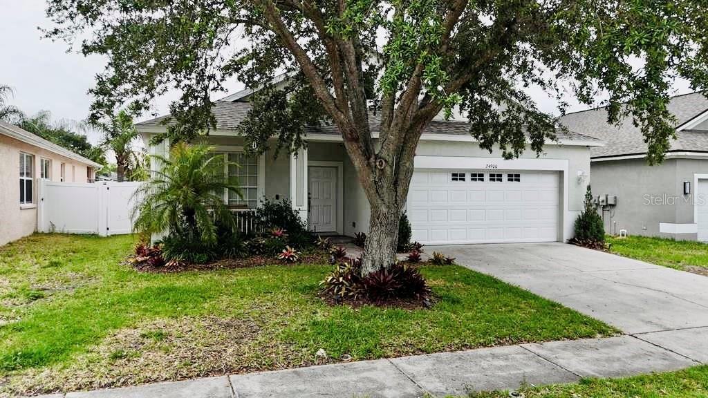 24900 OAKHAVEN CT, LUTZ, FL, 33559