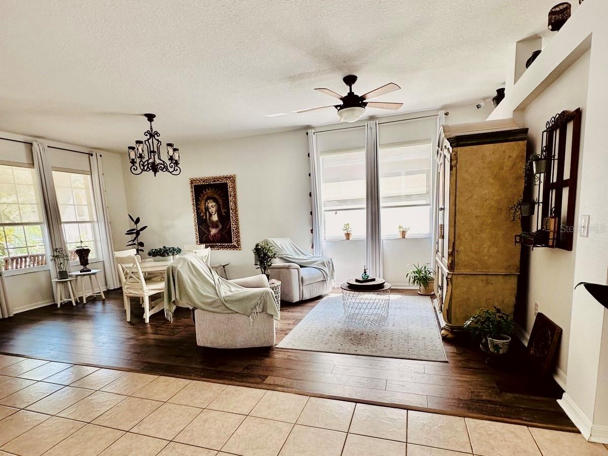 24900 OAKHAVEN CT, LUTZ, FL, 33559