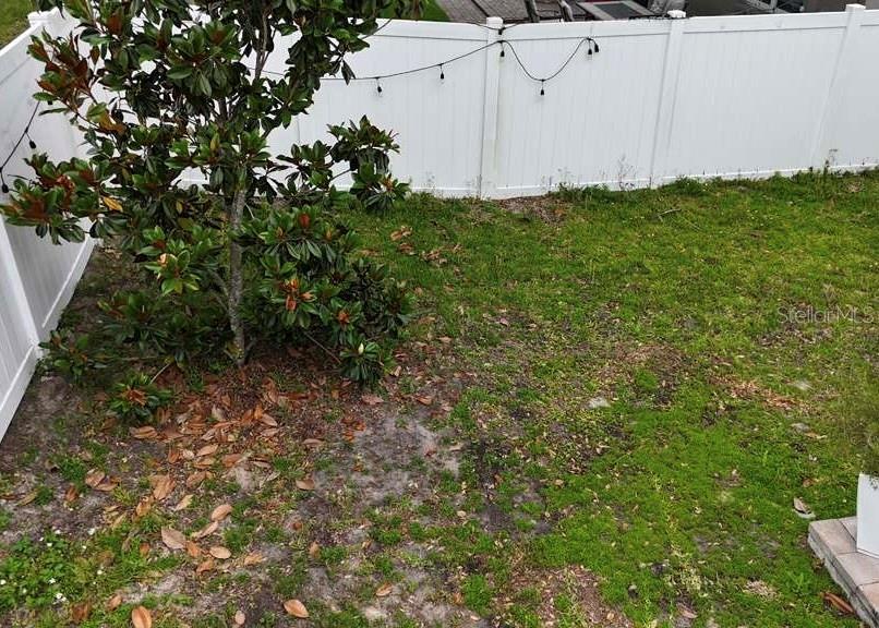 24900 OAKHAVEN CT, LUTZ, FL, 33559