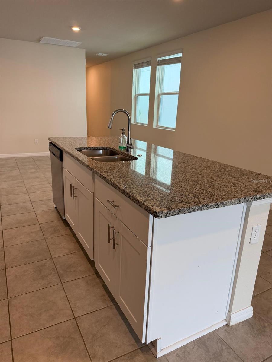 3732 SHOVELER AVE, LEESBURG, FL, 34748