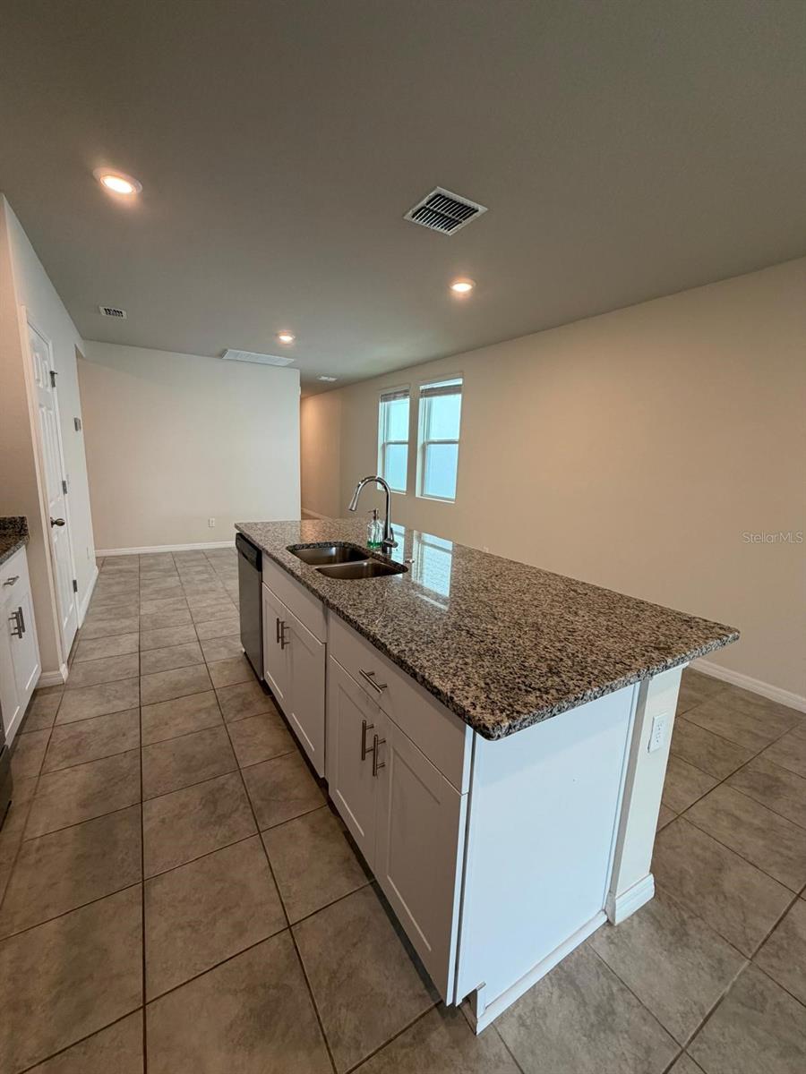 3732 SHOVELER AVE, LEESBURG, FL, 34748