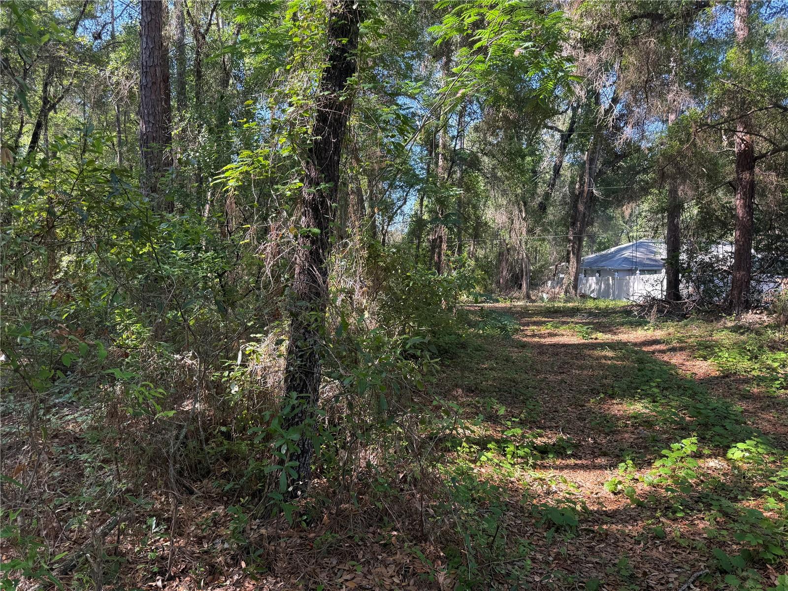 10927 N AIRWAY LOOP, CITRUS SPRINGS, FL, 34434