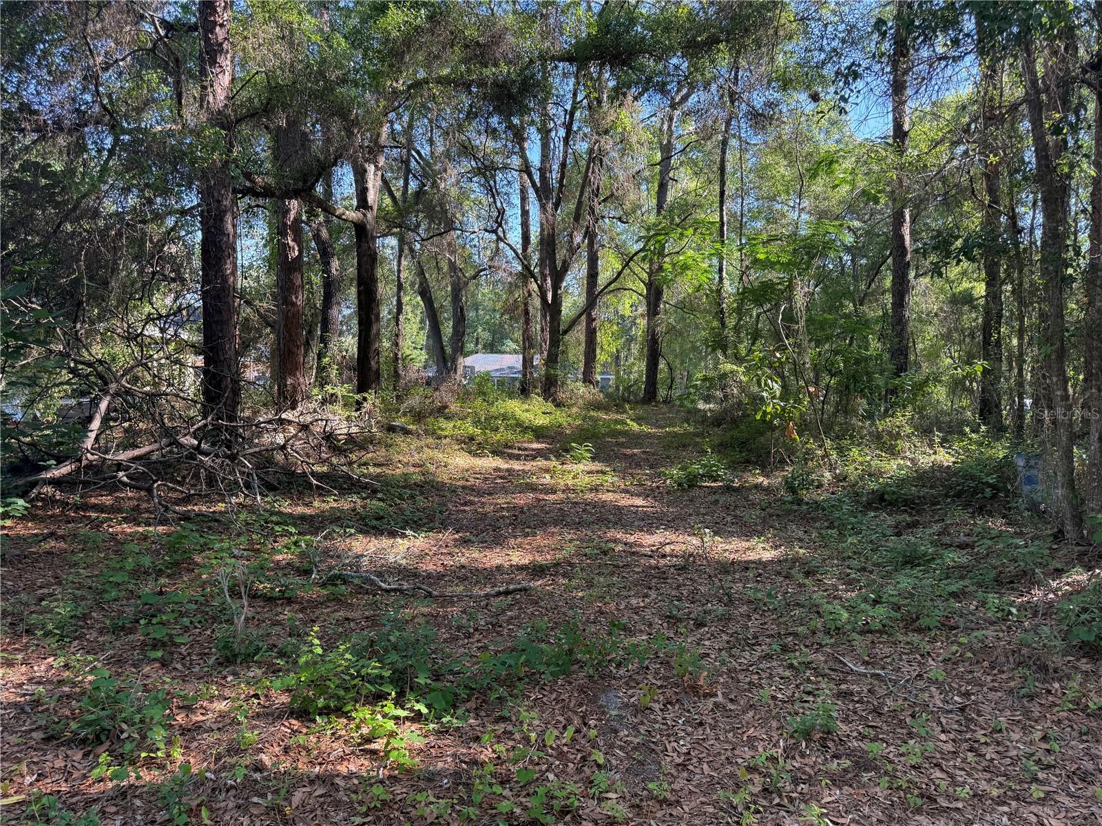10927 N AIRWAY LOOP, CITRUS SPRINGS, FL, 34434