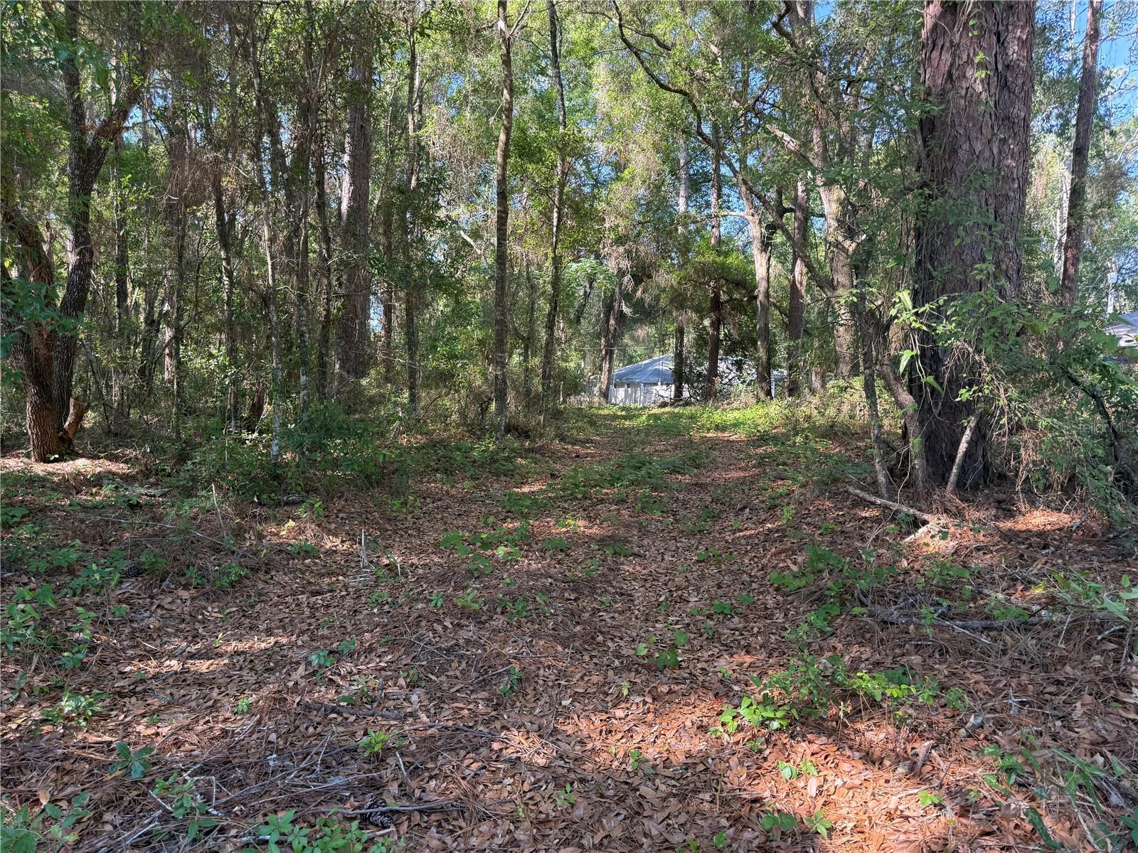 10927 N AIRWAY LOOP, CITRUS SPRINGS, FL, 34434