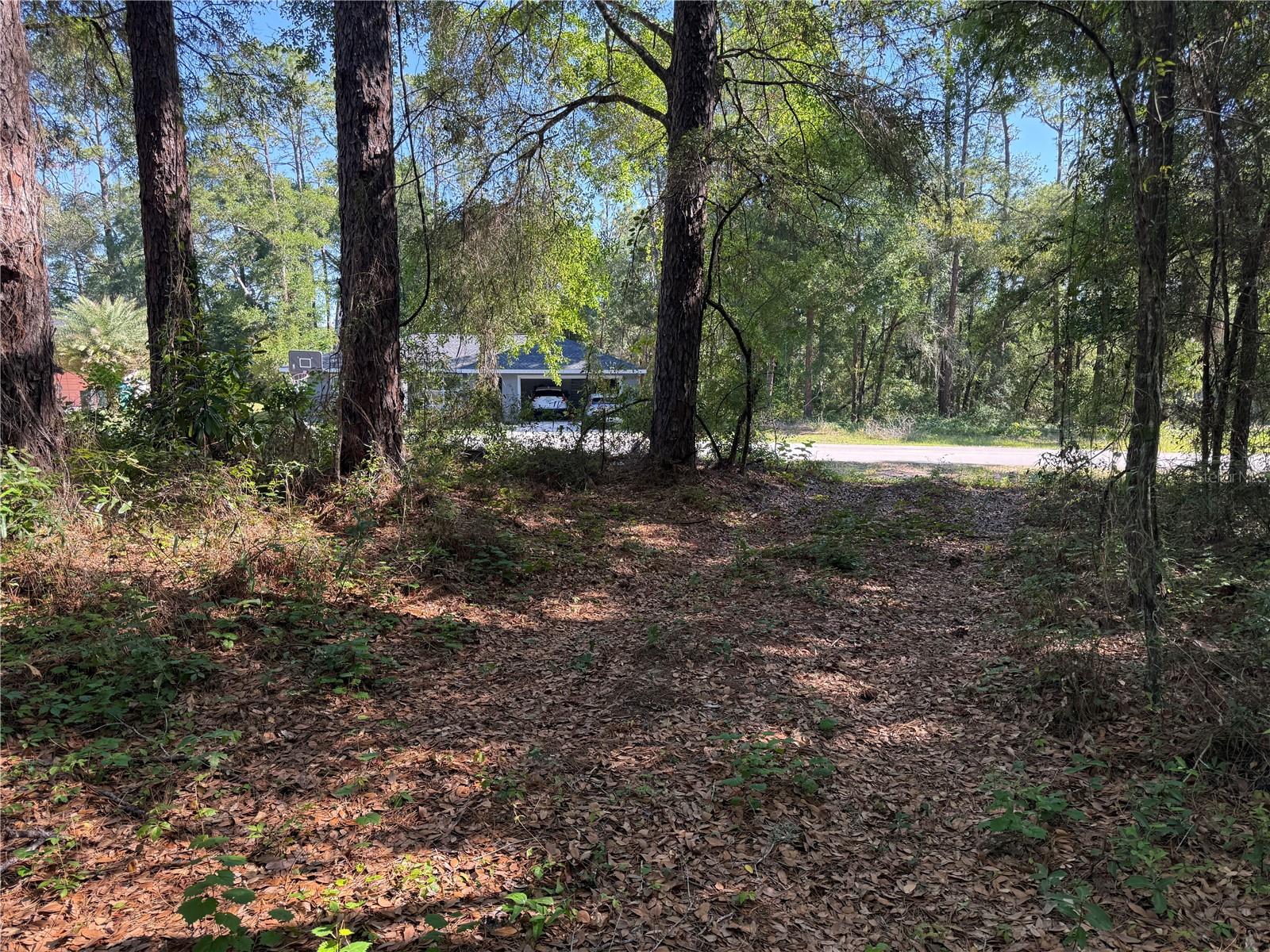 10927 N AIRWAY LOOP, CITRUS SPRINGS, FL, 34434