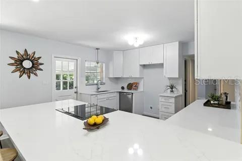 2510 LAKE ELLEN DR, TAMPA, FL, 33618