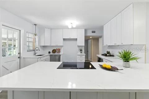 2510 LAKE ELLEN DR, TAMPA, FL, 33618