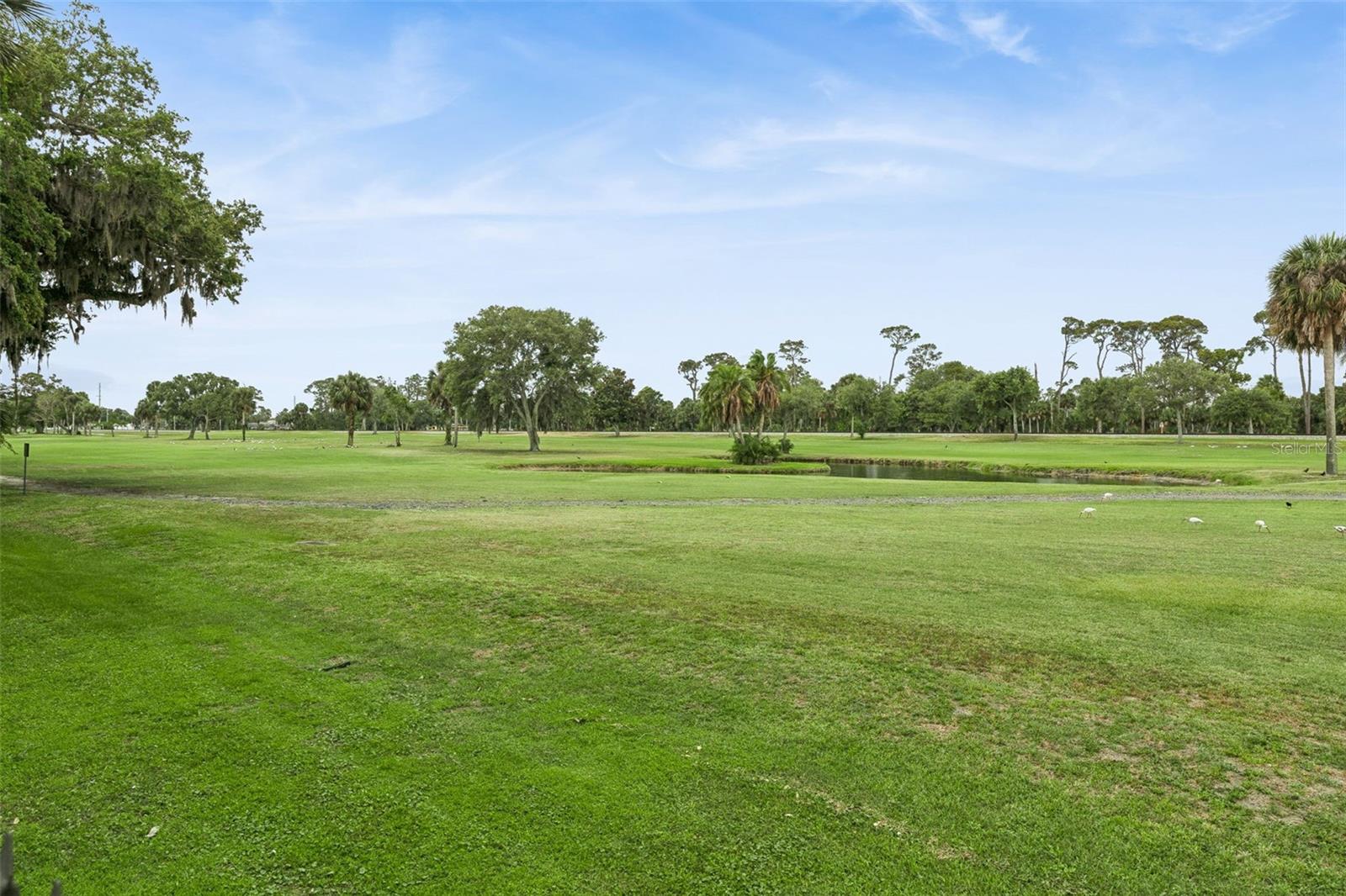 325 WILDER BLVD #103, DAYTONA BEACH, FL, 32114