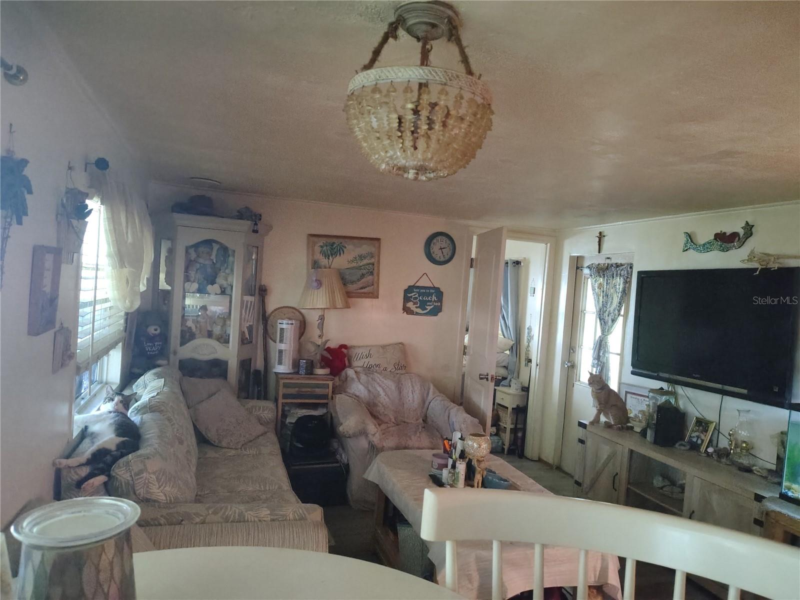 37748 MARKLAND AVE, ZEPHYRHILLS, FL, 33542