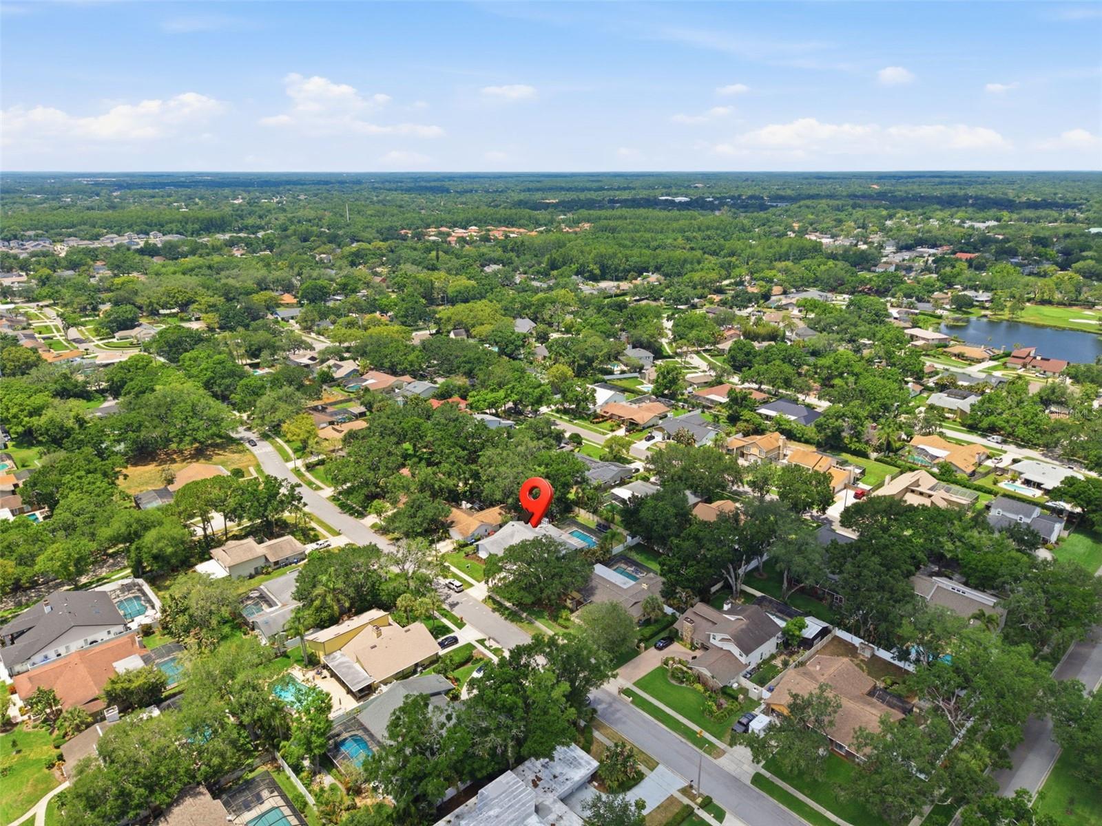 4221 WATER OAKS LN, TAMPA, FL, 33618