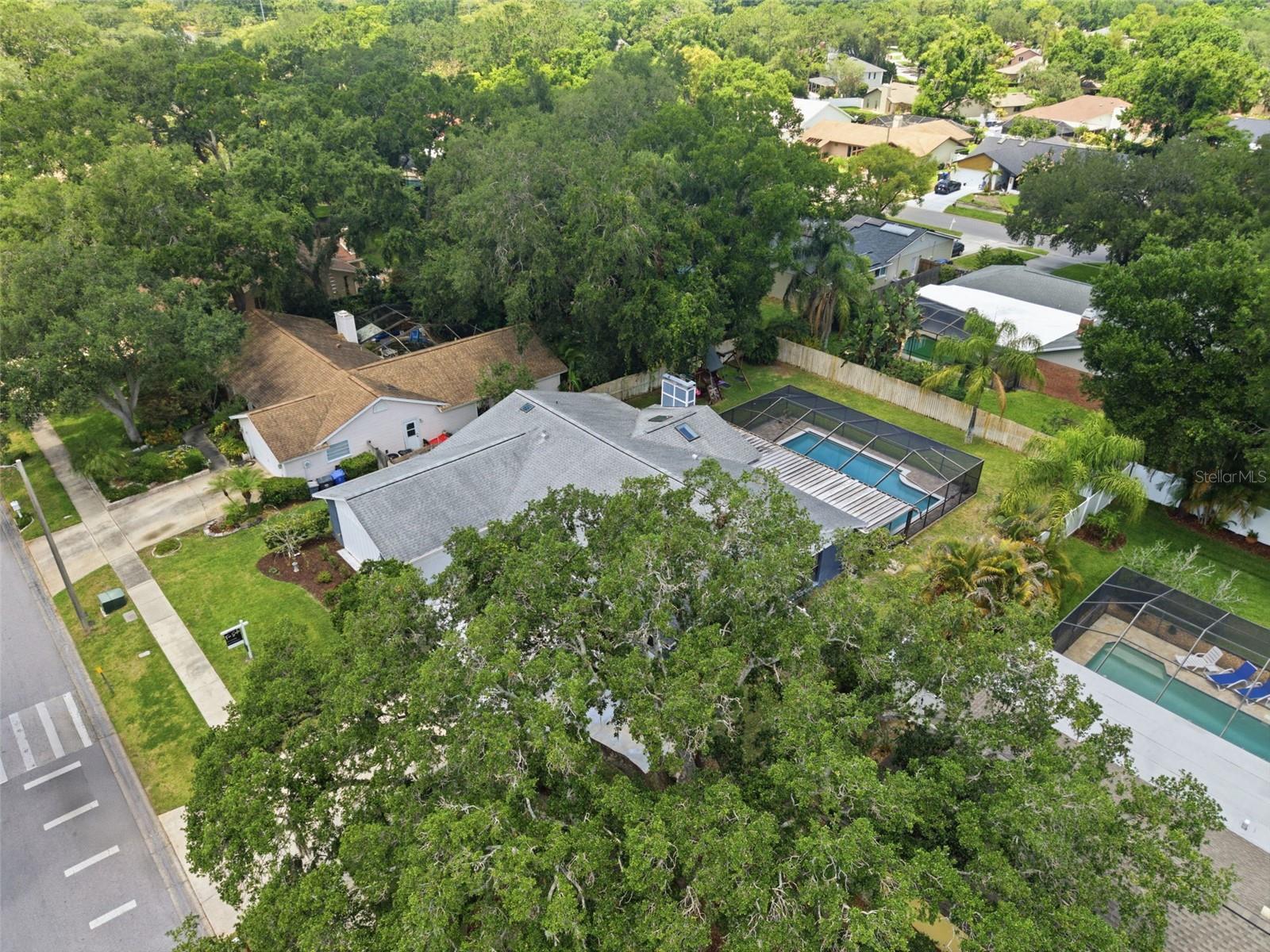 4221 WATER OAKS LN, TAMPA, FL, 33618