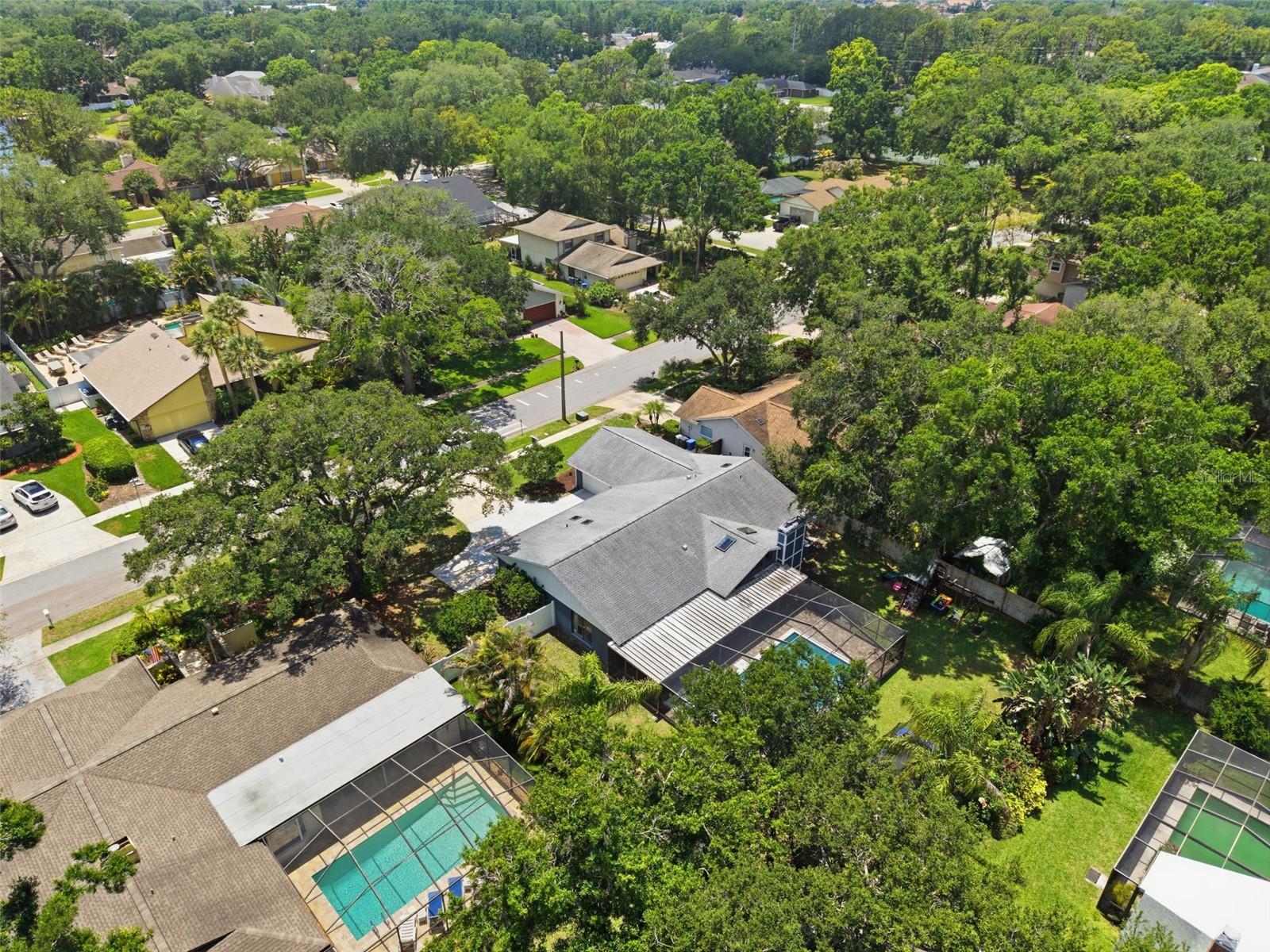 4221 WATER OAKS LN, TAMPA, FL, 33618