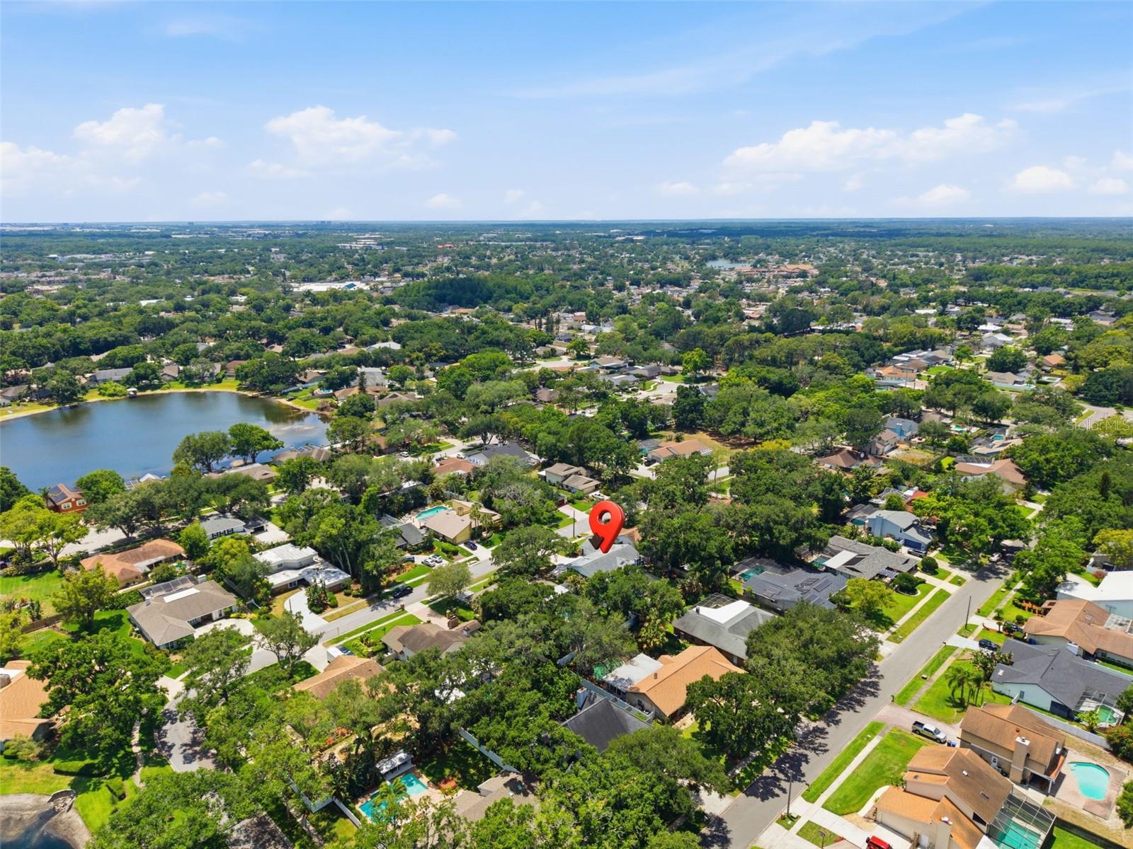 4221 WATER OAKS LN, TAMPA, FL, 33618
