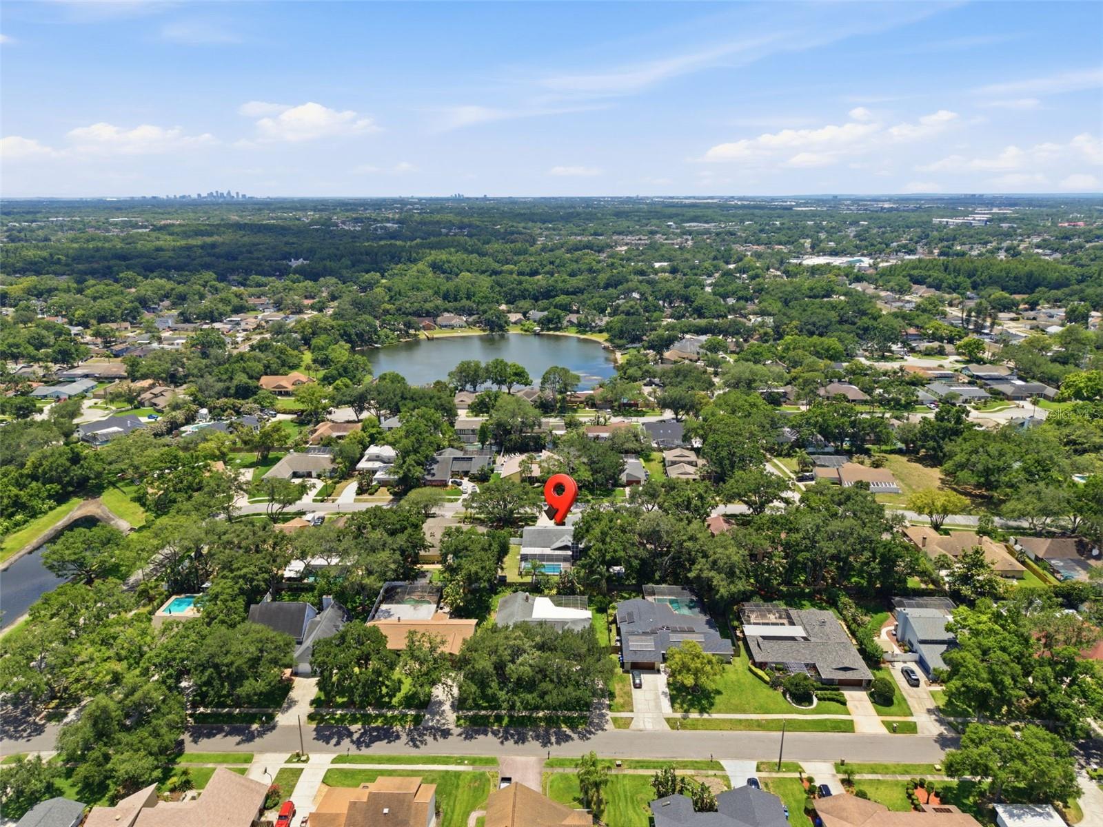 4221 WATER OAKS LN, TAMPA, FL, 33618