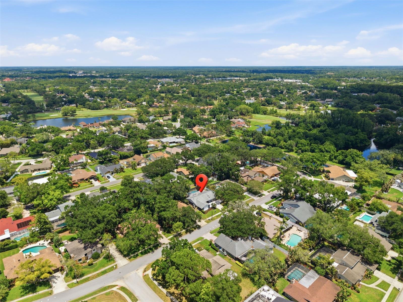 4221 WATER OAKS LN, TAMPA, FL, 33618