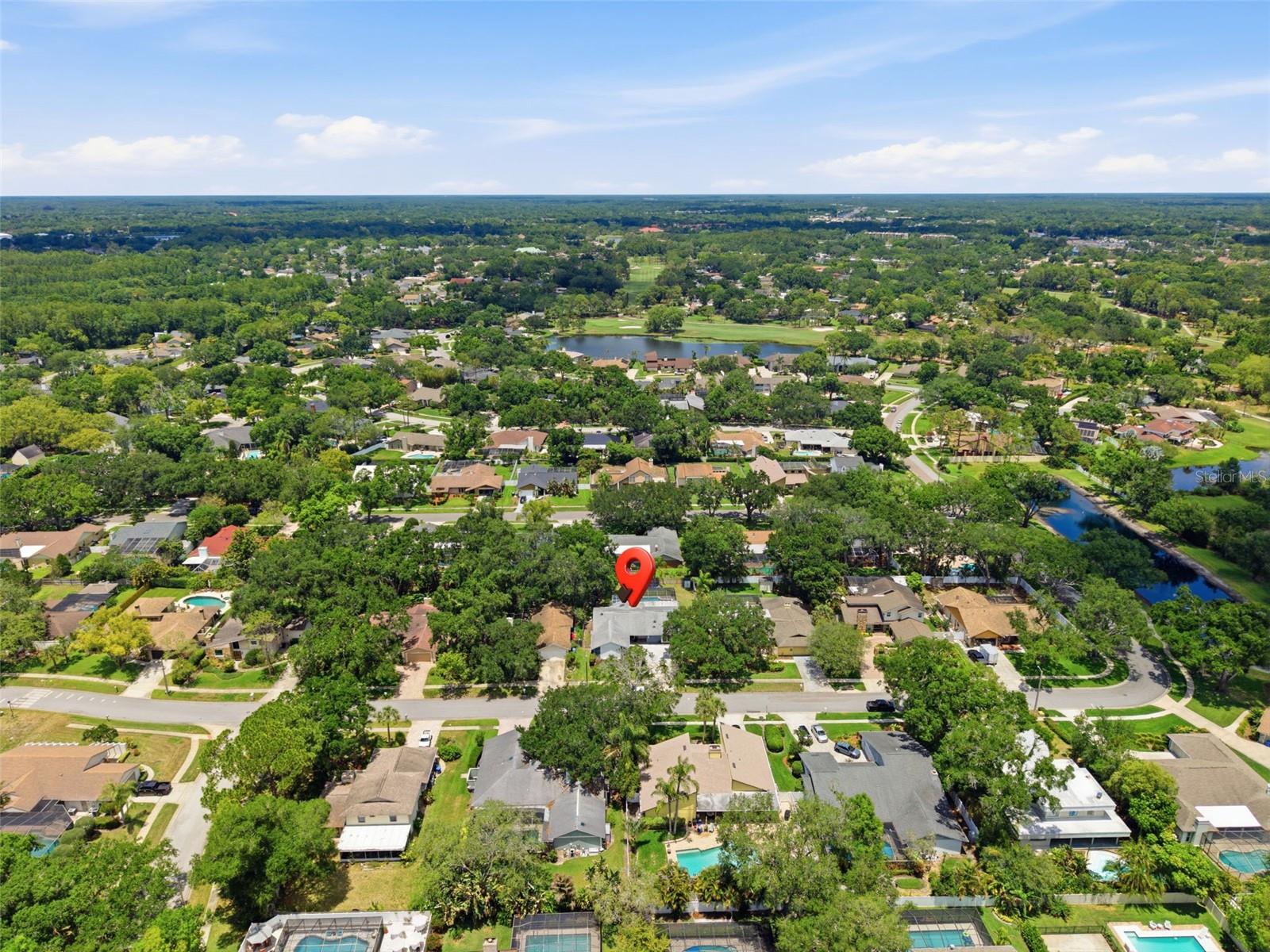 4221 WATER OAKS LN, TAMPA, FL, 33618