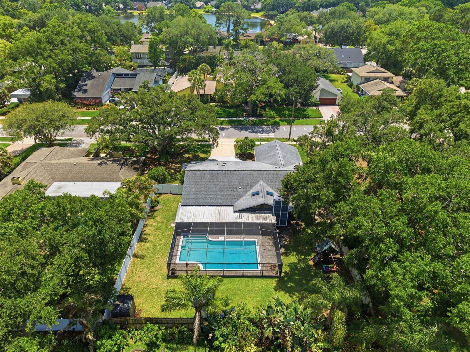 4221 WATER OAKS LN, TAMPA, FL, 33618