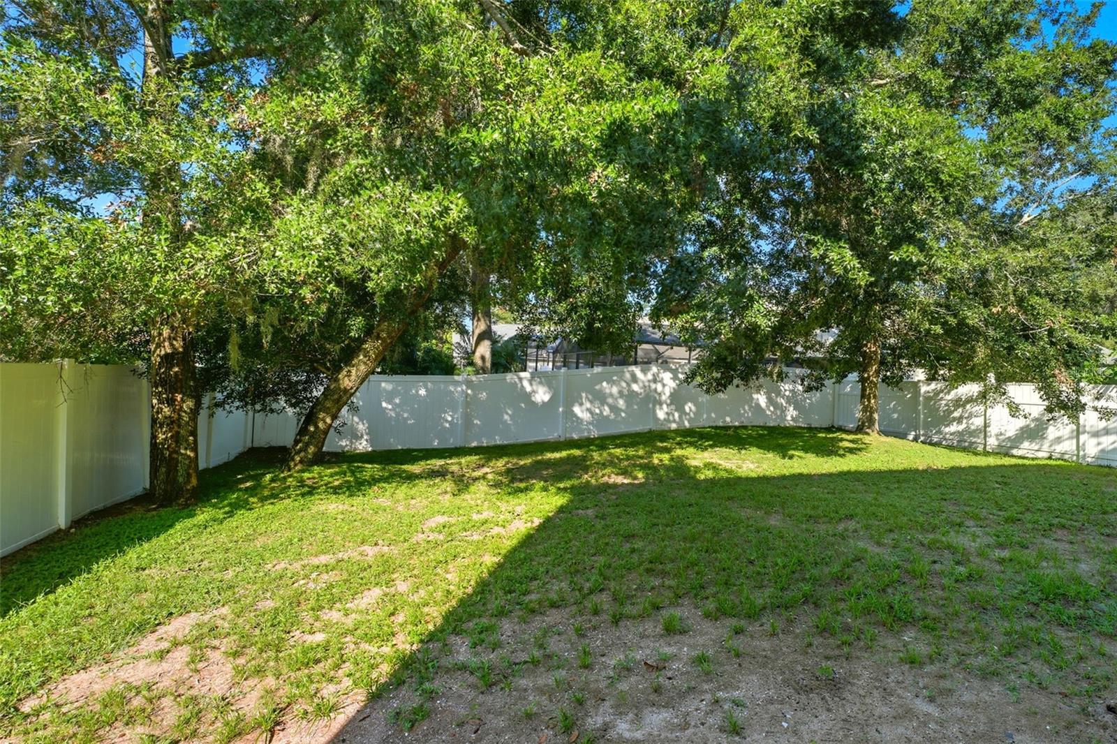 224 COPPER OAK CT, APOPKA, FL, 32703