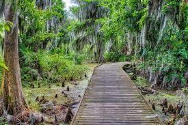 5189 GREENHEART AVE, MOUNT DORA, FL, 32757