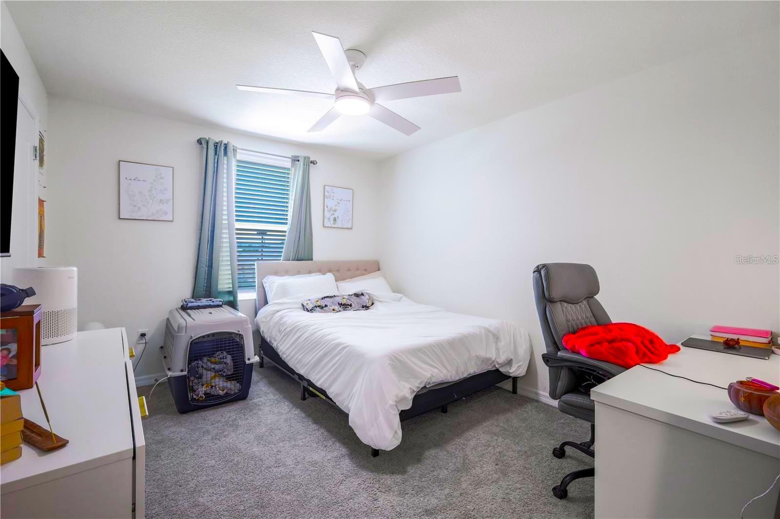 5189 GREENHEART AVE, MOUNT DORA, FL, 32757