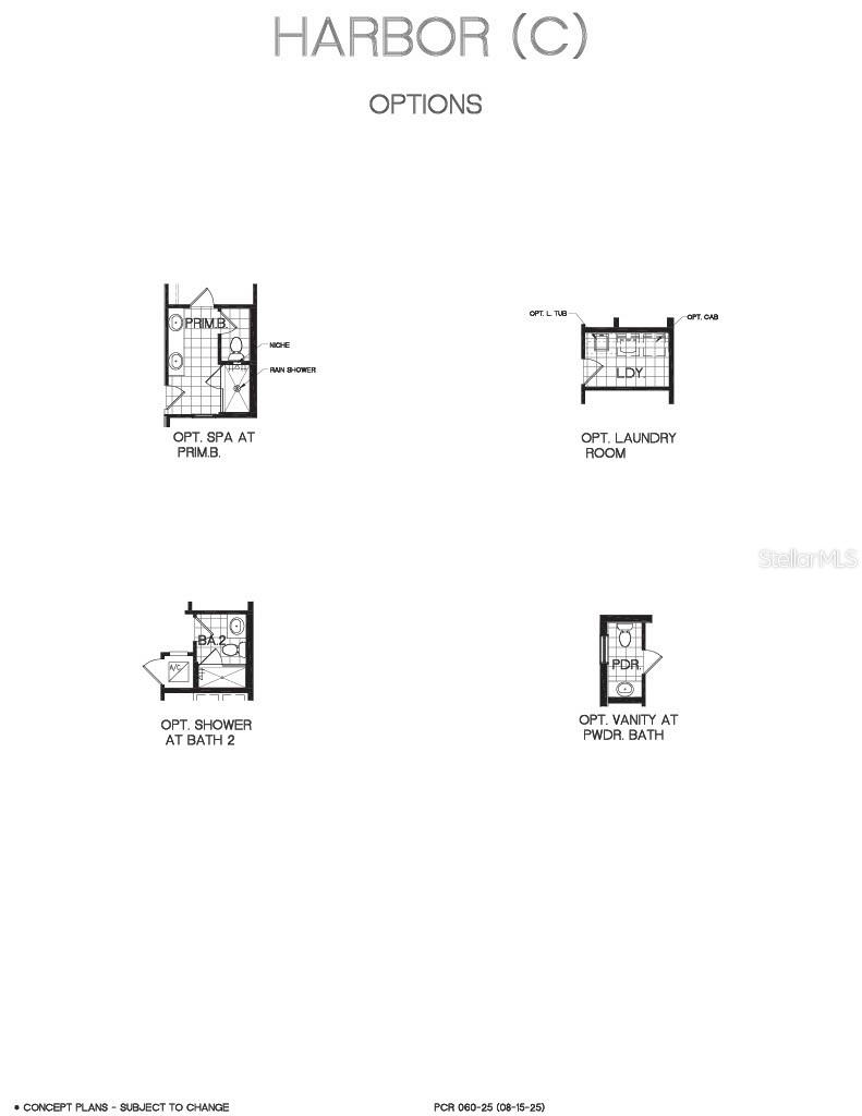 17001 HAGGERTY HOLLOW DR, WINTER GARDEN, FL, 34787