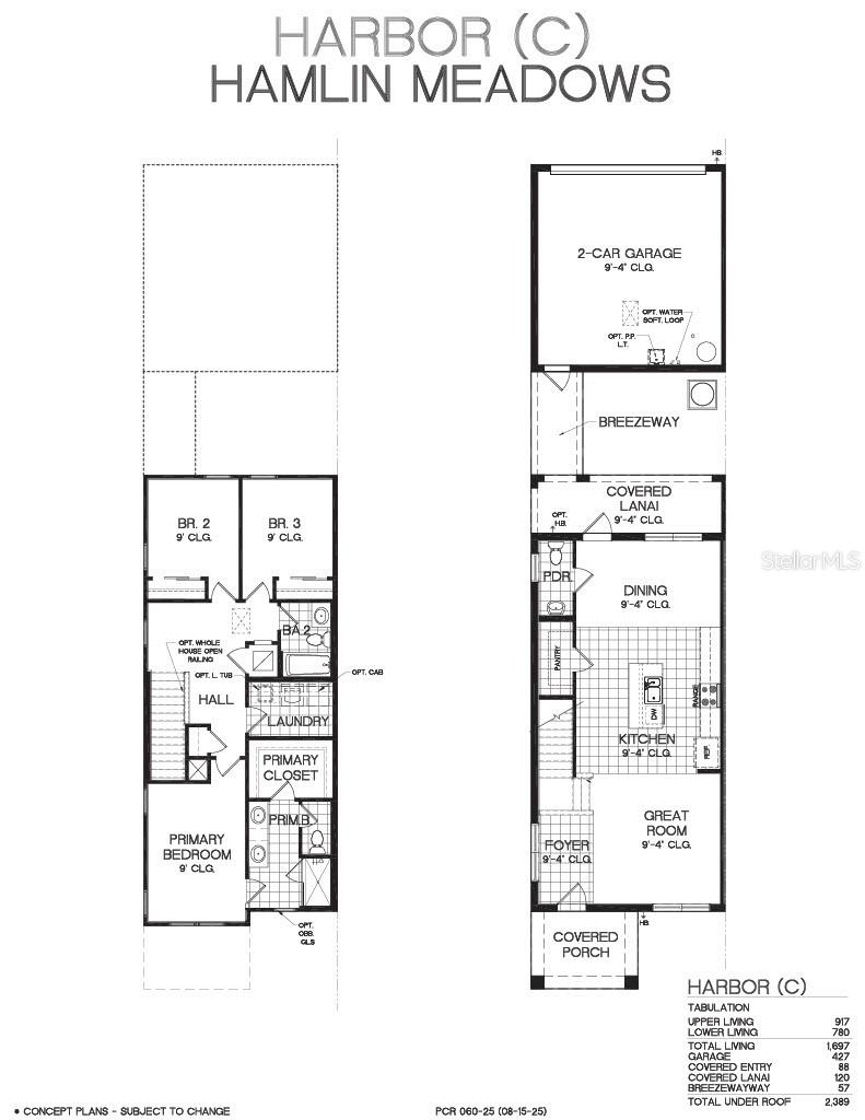 17001 HAGGERTY HOLLOW DR, WINTER GARDEN, FL, 34787