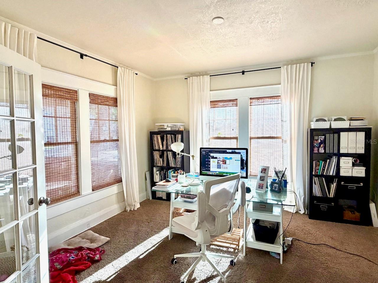 419 W PARK AVE, TAMPA, FL, 33602