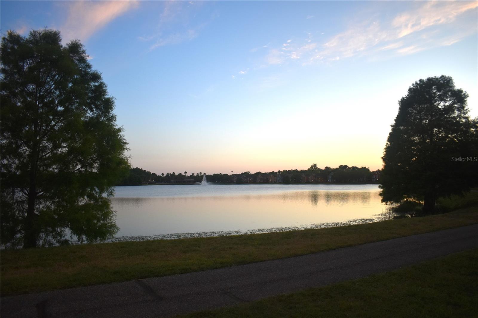 9078 LAKE CHASE ISLAND WAY, TAMPA, FL, 33626