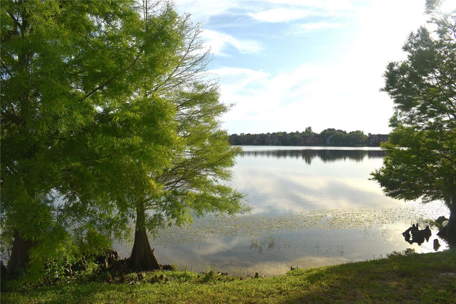 9078 LAKE CHASE ISLAND WAY, TAMPA, FL, 33626