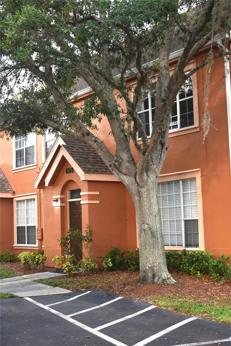 9078 LAKE CHASE ISLAND WAY, TAMPA, FL, 33626