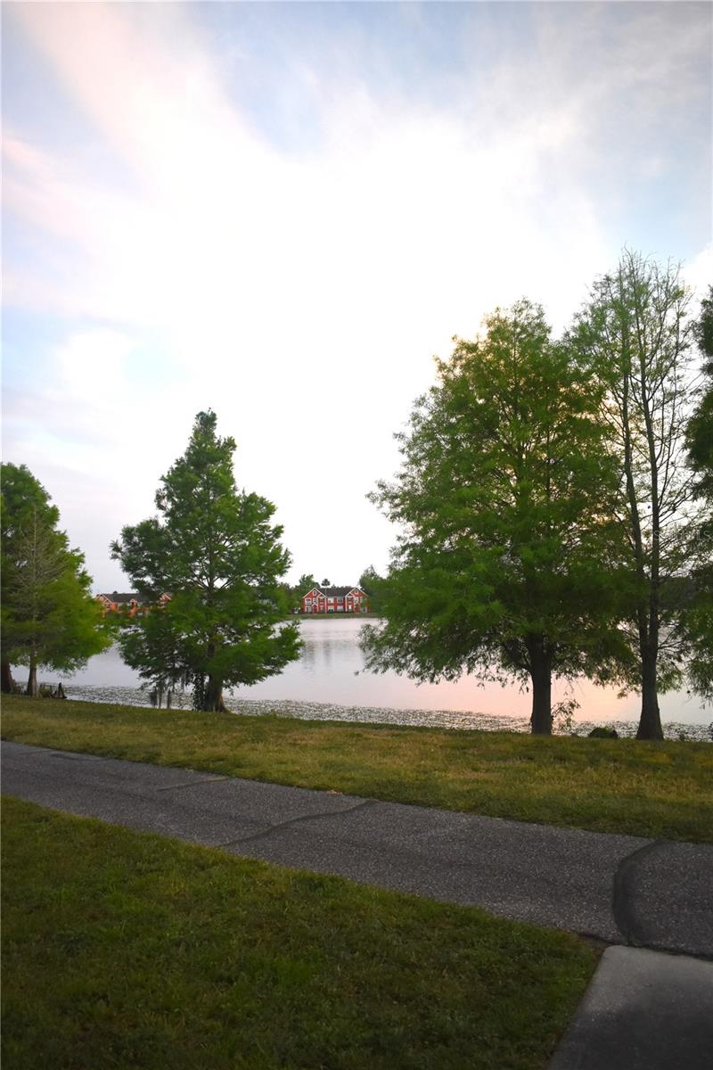 9078 LAKE CHASE ISLAND WAY, TAMPA, FL, 33626