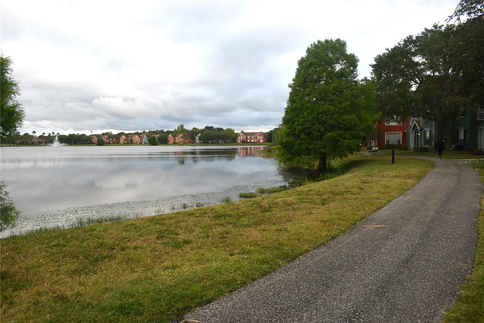 9078 LAKE CHASE ISLAND WAY, TAMPA, FL, 33626
