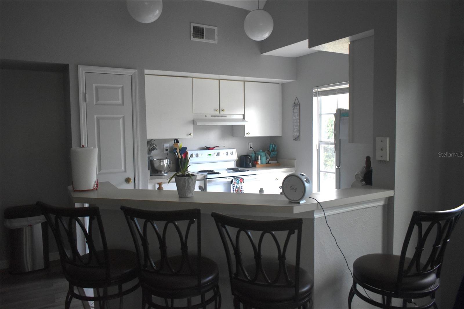 9078 LAKE CHASE ISLAND WAY, TAMPA, FL, 33626