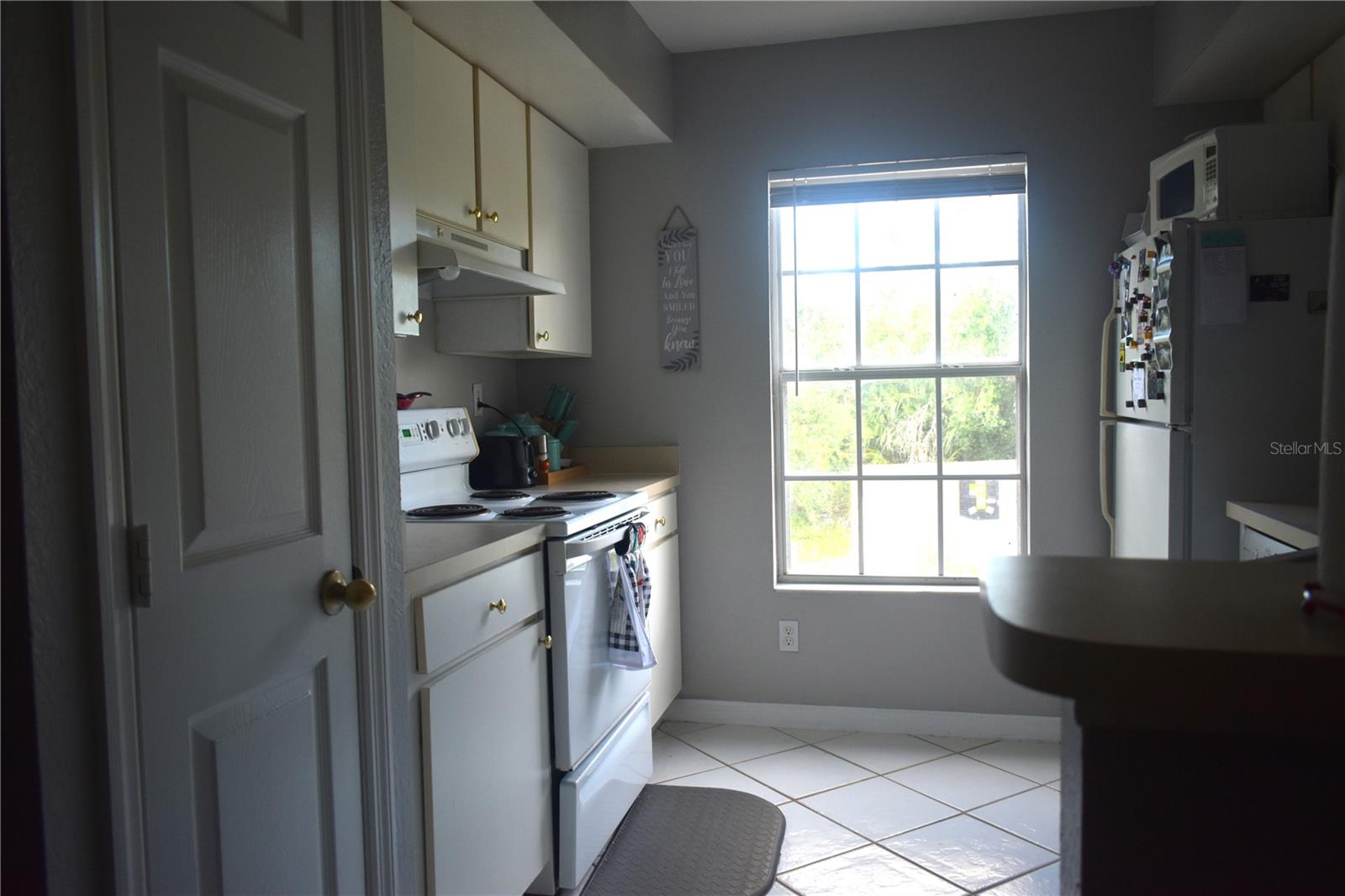9078 LAKE CHASE ISLAND WAY, TAMPA, FL, 33626