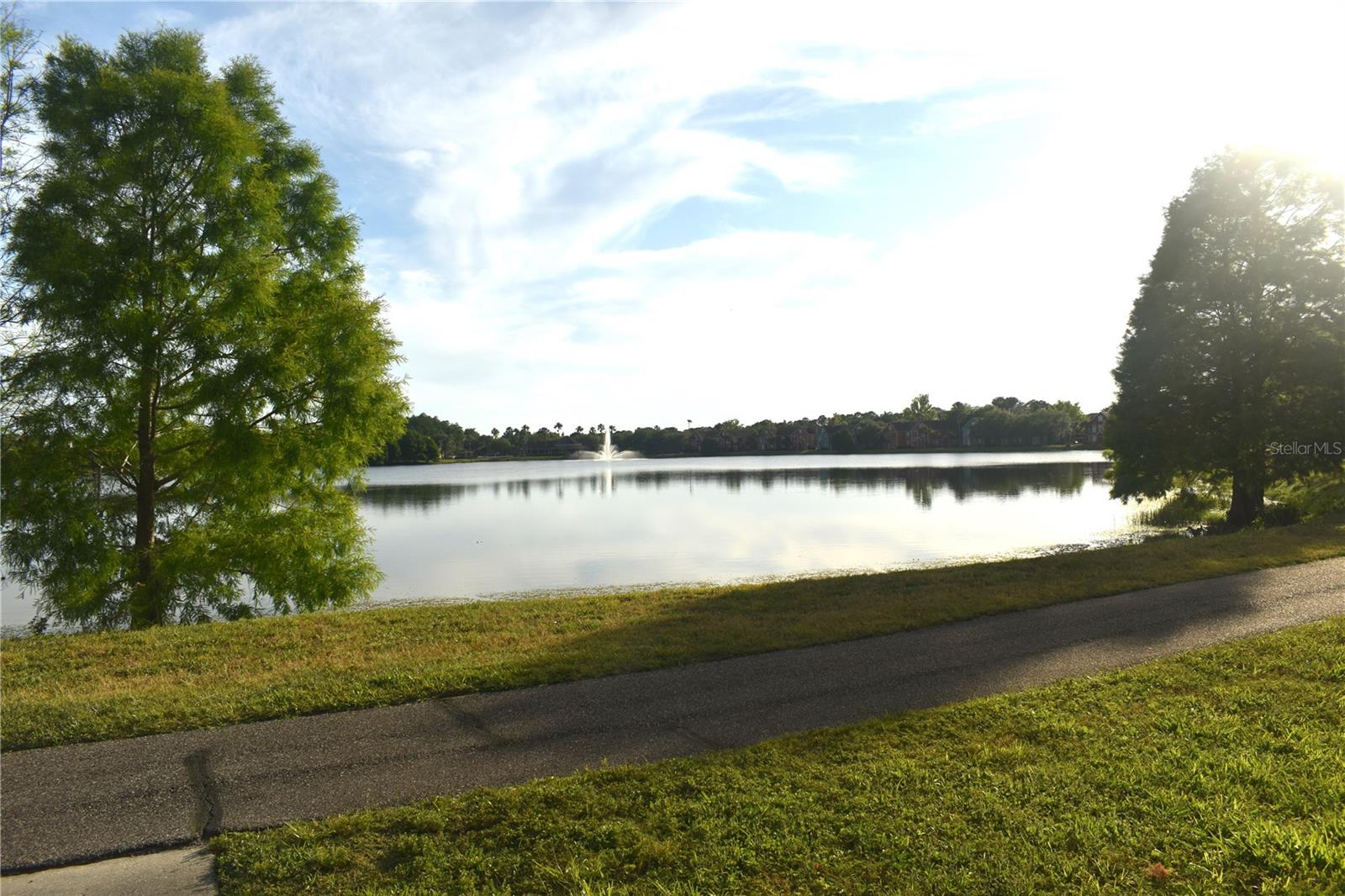 9078 LAKE CHASE ISLAND WAY, TAMPA, FL, 33626