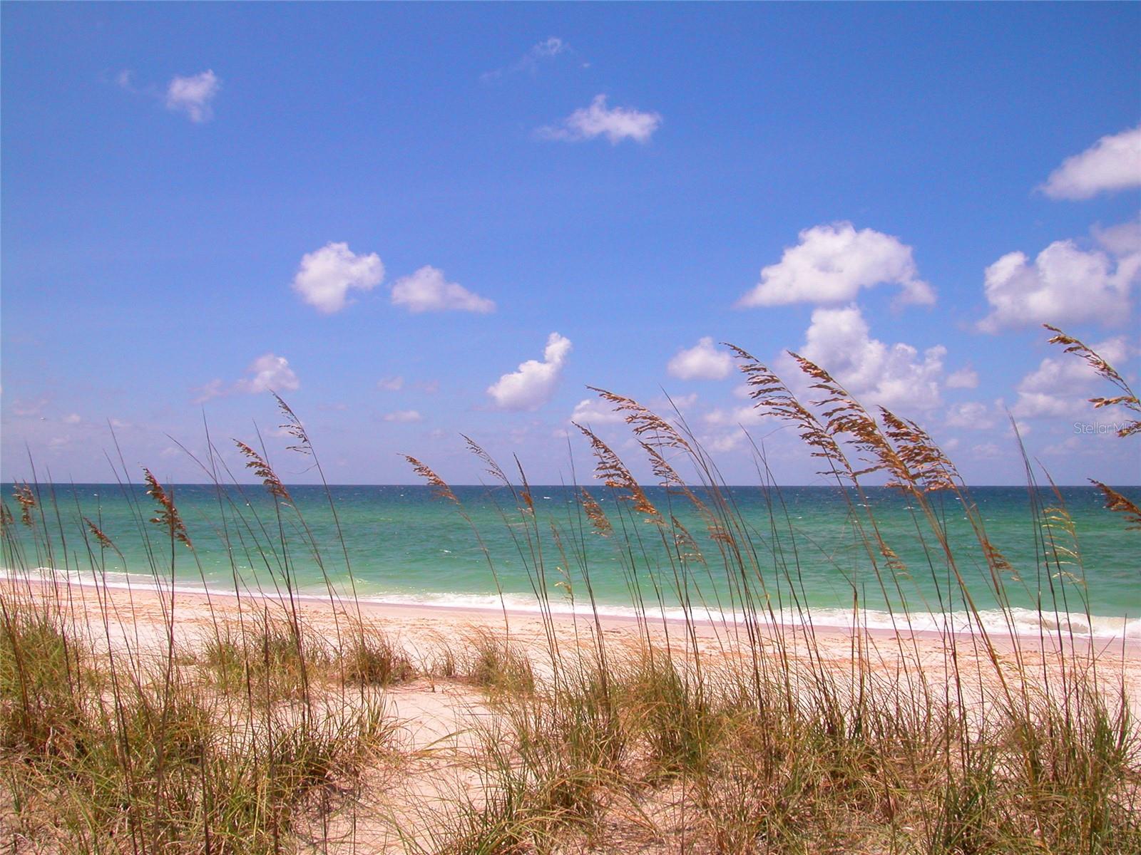 20229 LAGENTE CIR, VENICE, FL, 34293