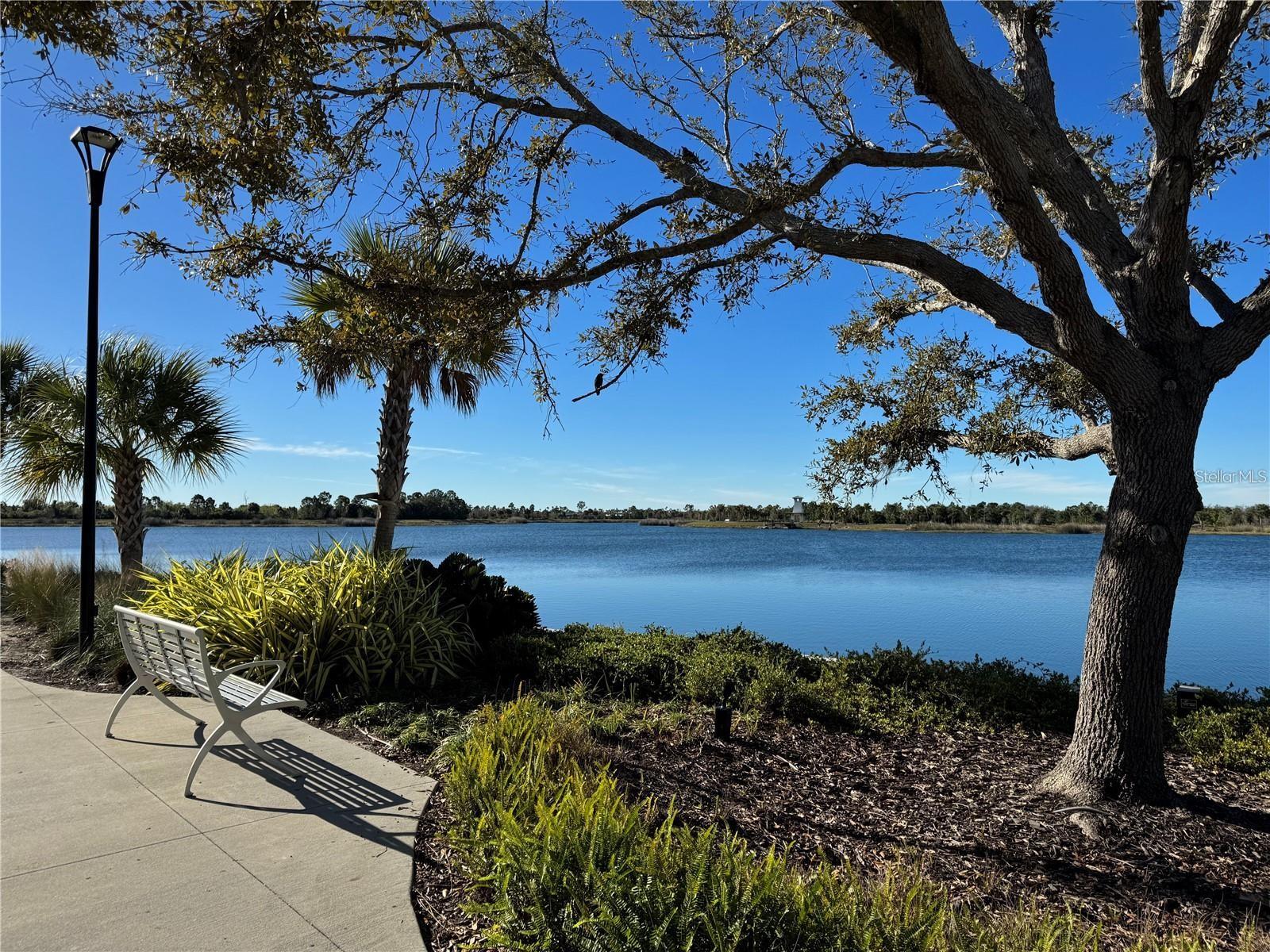 20229 LAGENTE CIR, VENICE, FL, 34293