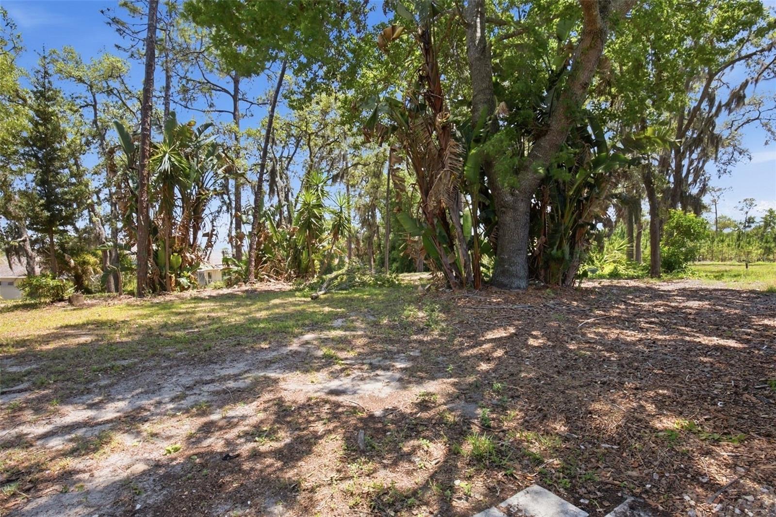 14521 PIMBERTON DR, HUDSON, FL, 34667