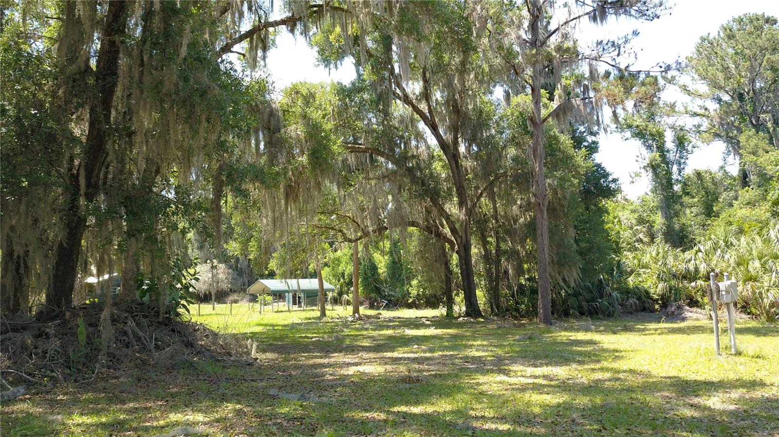 11333 SE 202ND LN, INGLIS, FL, 34449