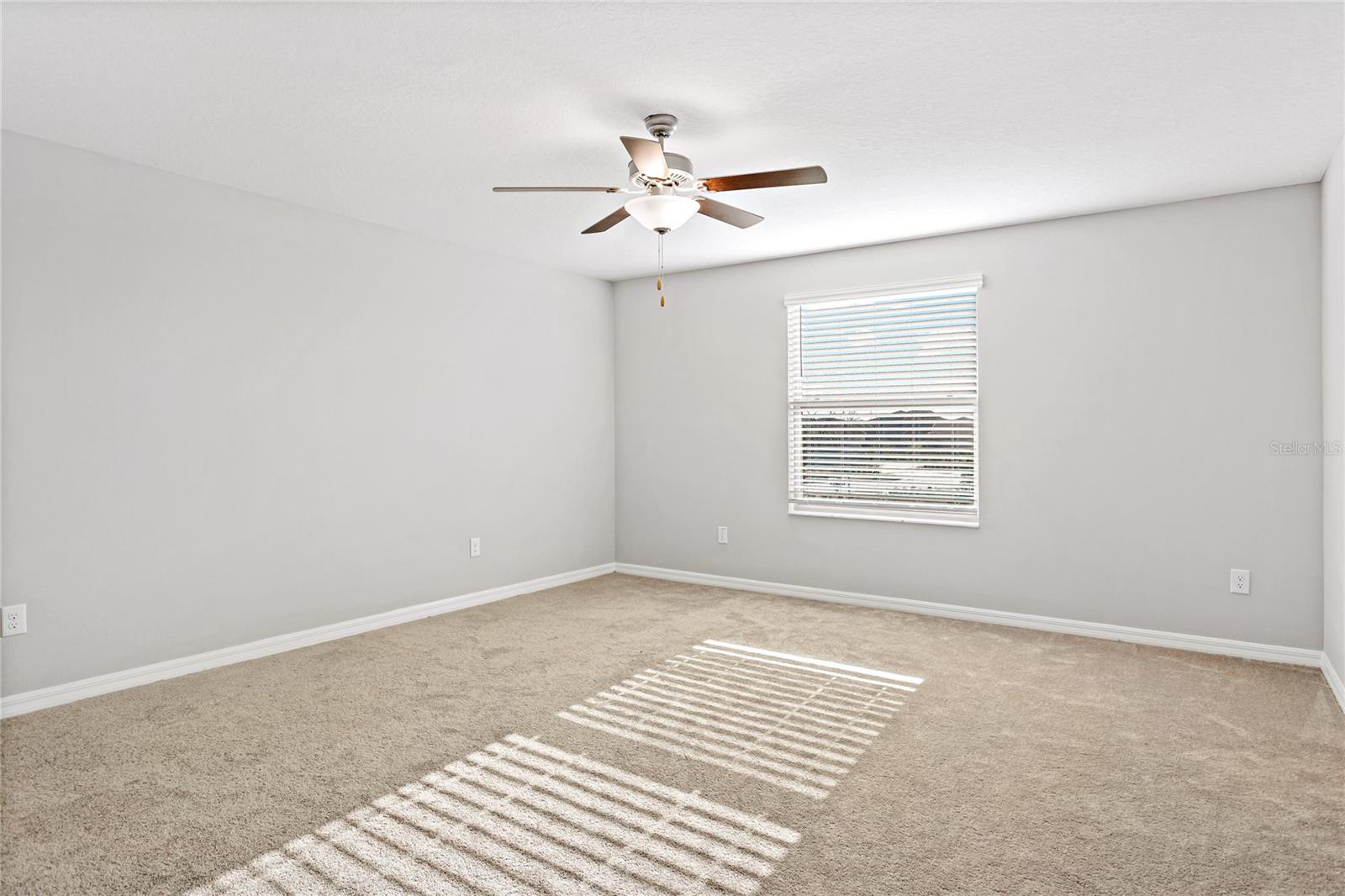 13647 WILD GINGER ST, RIVERVIEW, FL, 33579