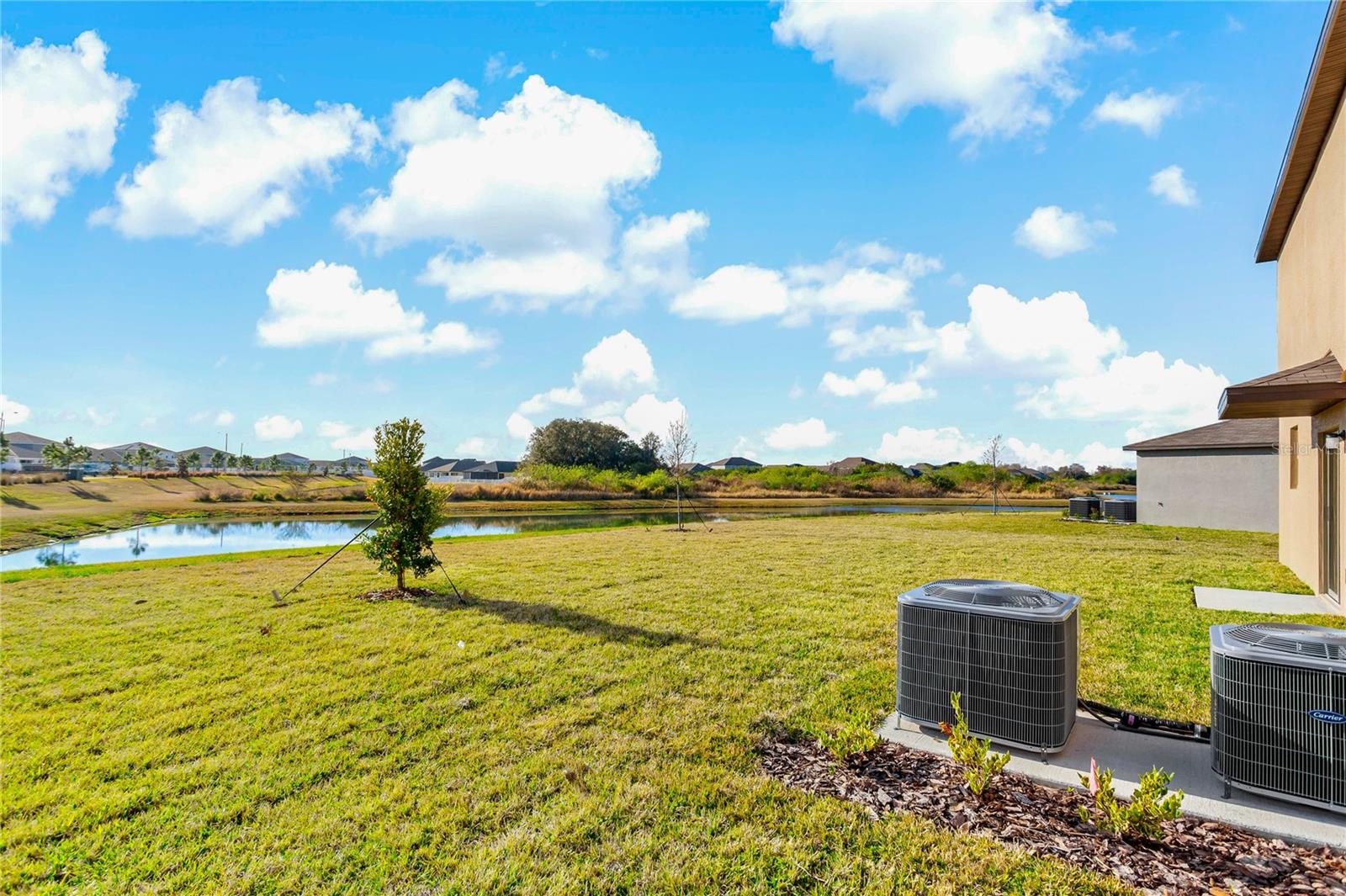 13647 WILD GINGER ST, RIVERVIEW, FL, 33579