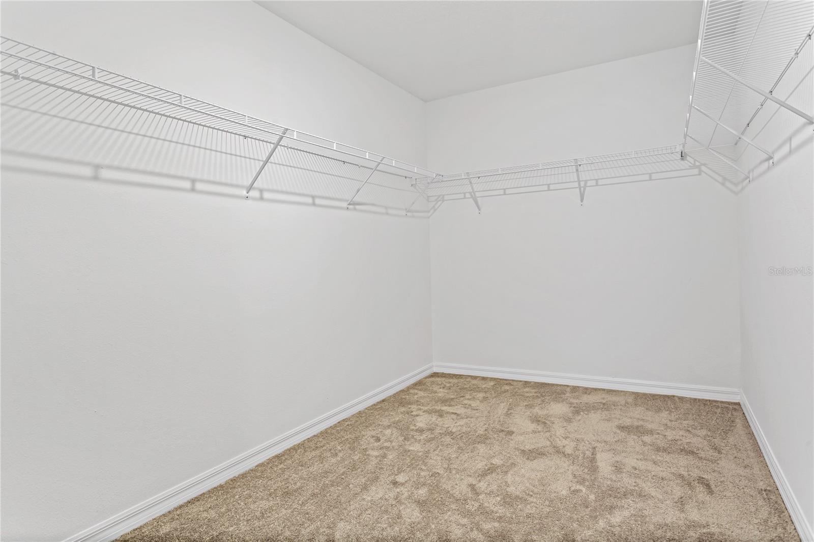 13647 WILD GINGER ST, RIVERVIEW, FL, 33579