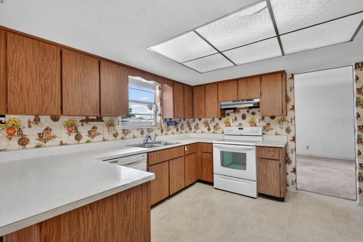 2342 CITRUS AVE, SOUTH DAYTONA, FL, 32119