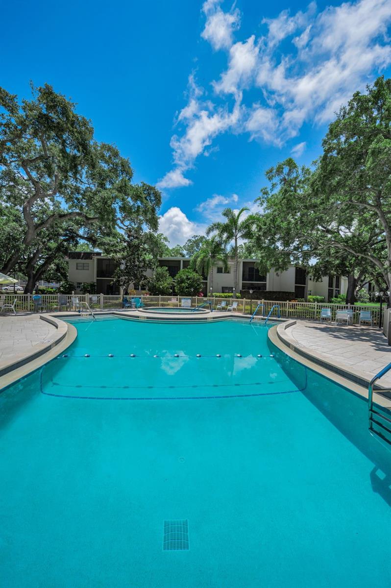 820 PATRICIA AVE #109, DUNEDIN, FL, 34698