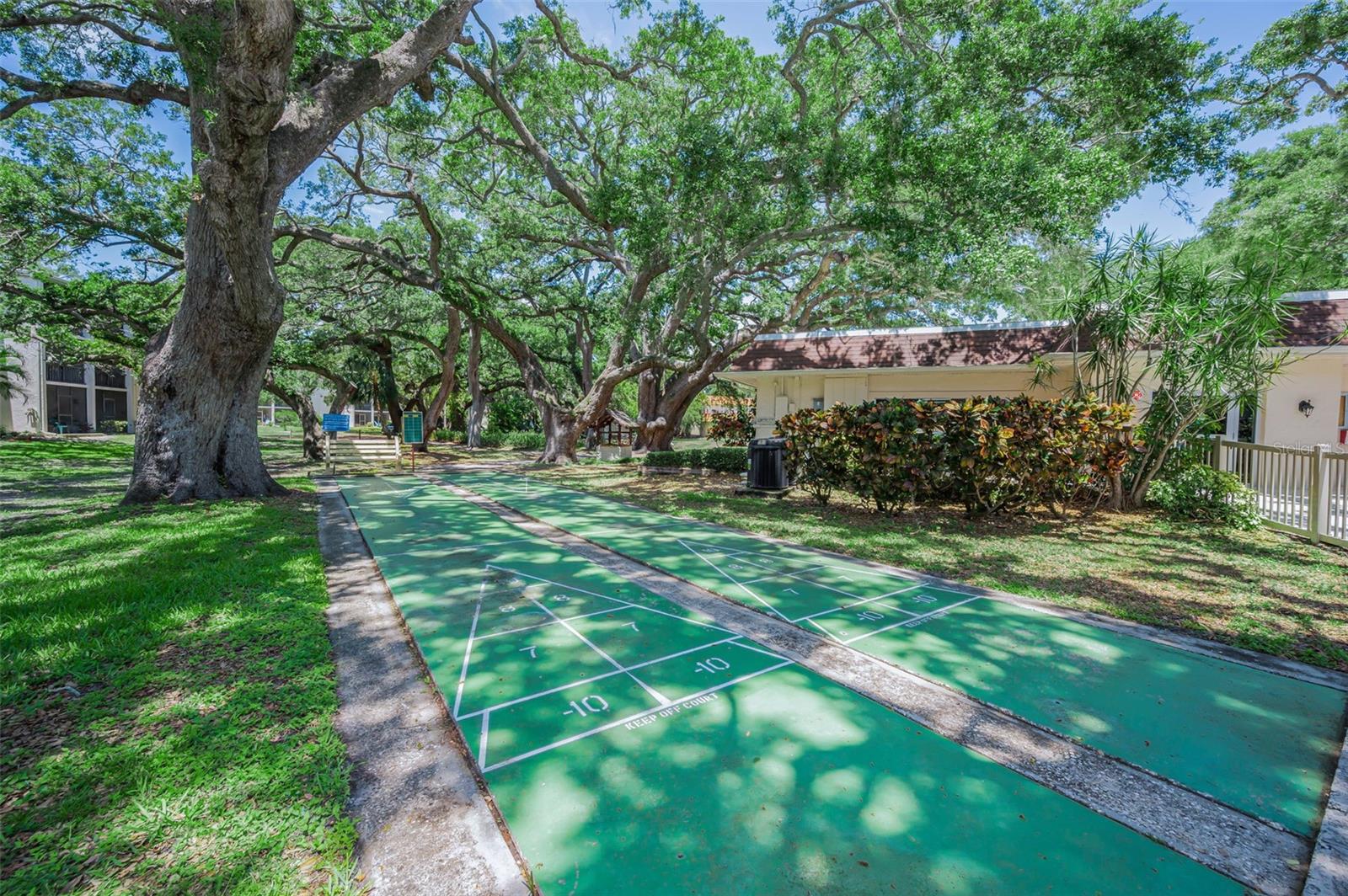 820 PATRICIA AVE #109, DUNEDIN, FL, 34698