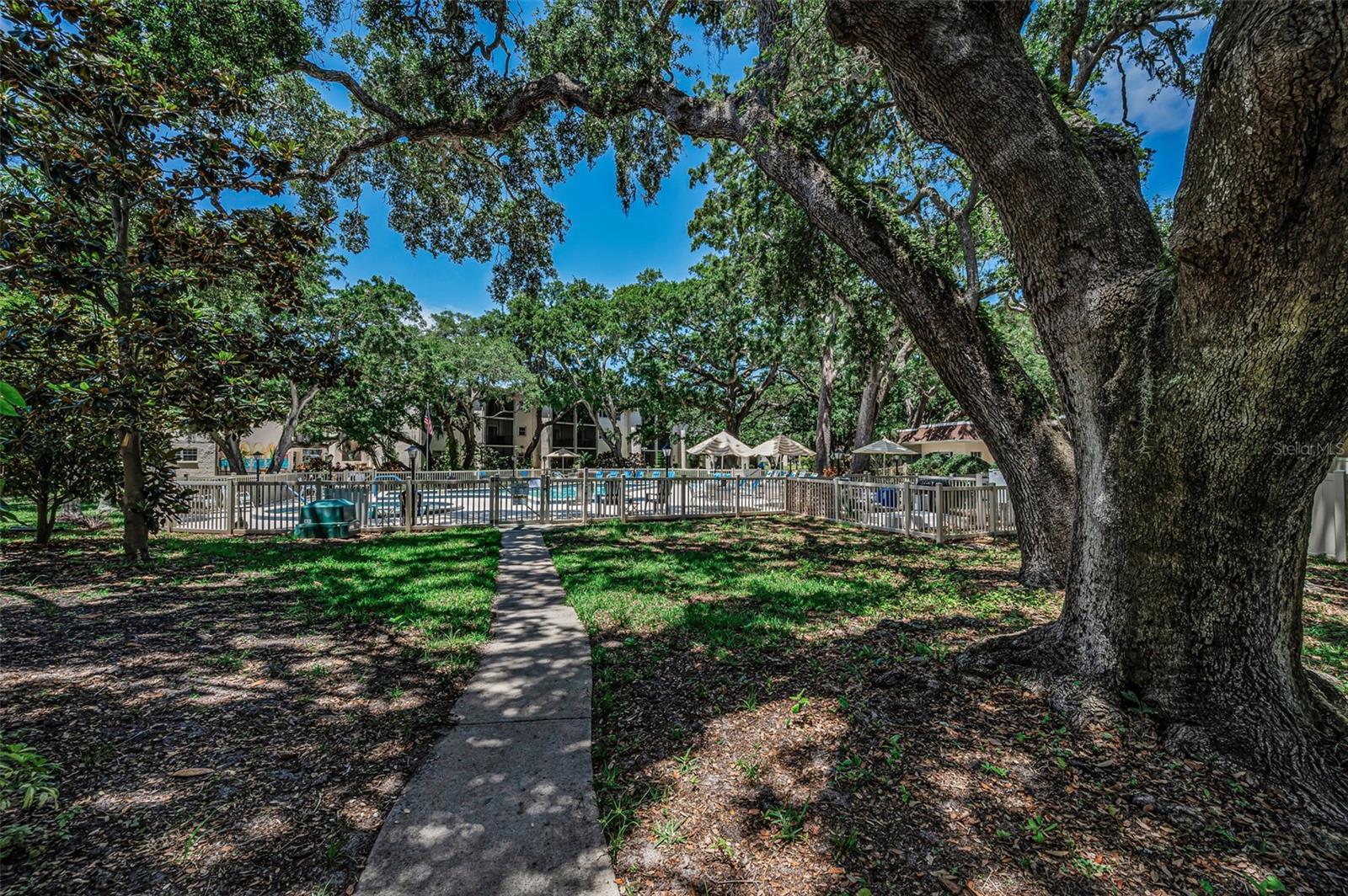 820 PATRICIA AVE #109, DUNEDIN, FL, 34698