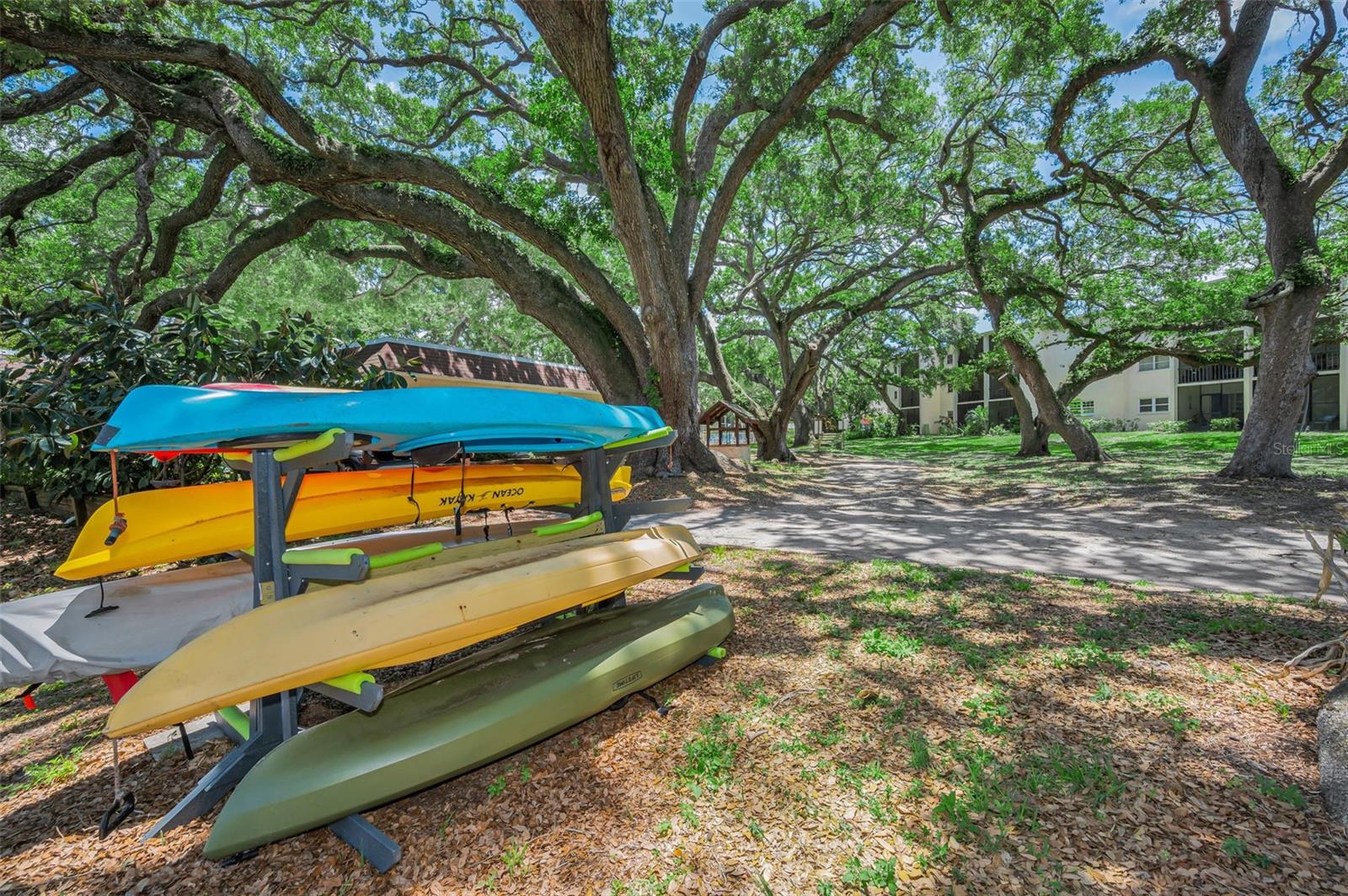 820 PATRICIA AVE #109, DUNEDIN, FL, 34698